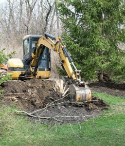San Antonio Expert Stump Grinding and Removal Service | Stump Removal